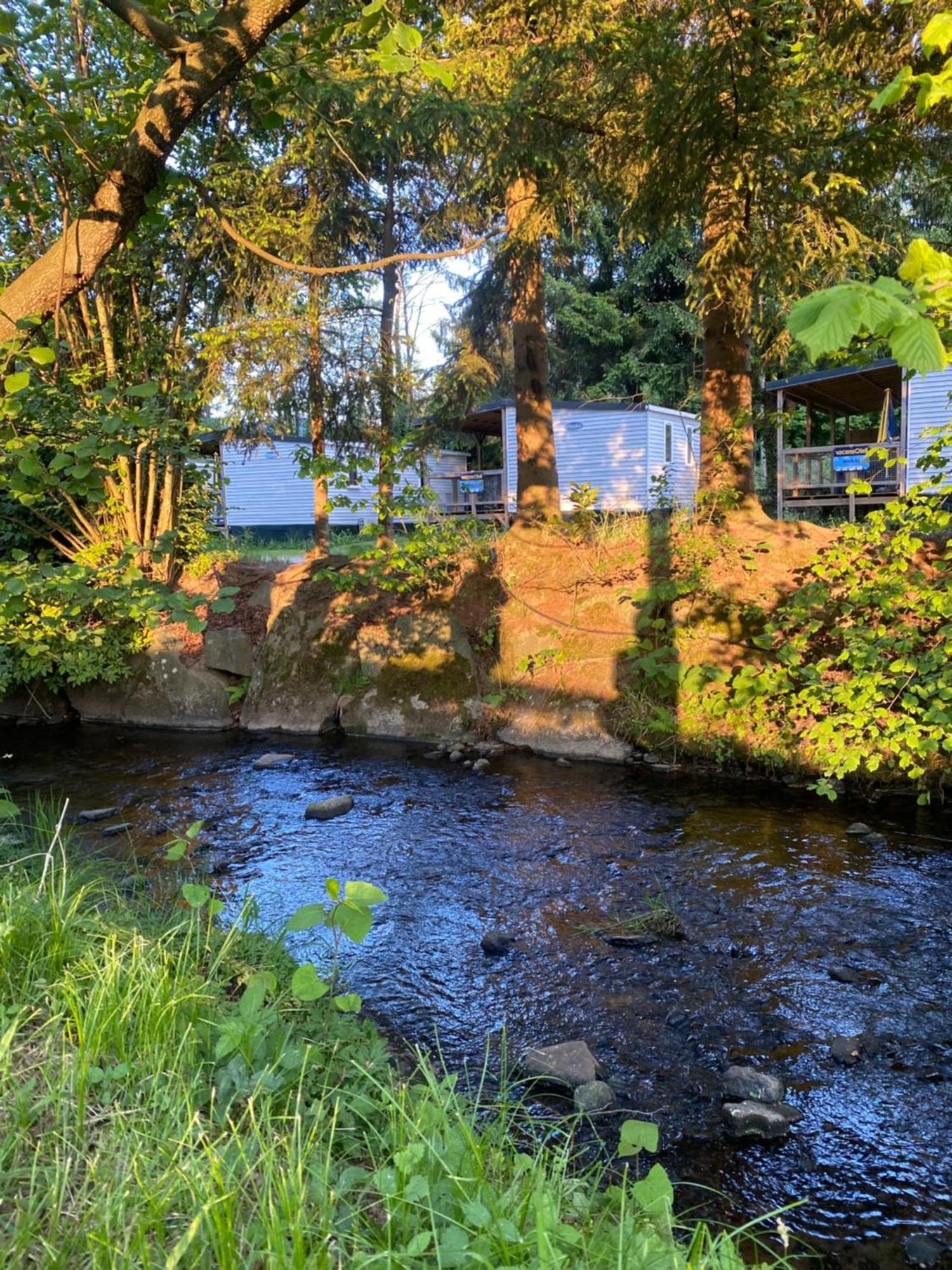 S-Chalet Camping Mit Comfort Im Schwarzwald Steinach  Luaran gambar